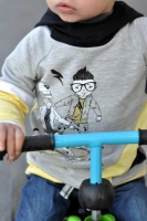 Sweatstoff French Terry Panel Skateboarder Stenzo, grau