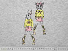 Sweatstoff French Terry Hasen Rollerskates Panel Stenzo, grau