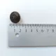 Blazerkn�pfe Metall Wappen mit Krone Altmessing mit �se 20 mm, 5 St�ck