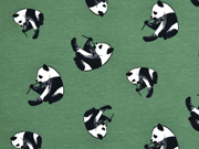 Jerseystoff  Pandabären, grün