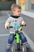 Sweatstoff French Terry Panel Skateboarder Stenzo, grau