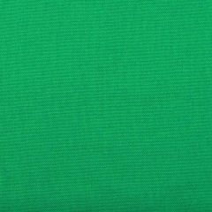Canvas Stoff uni, grün