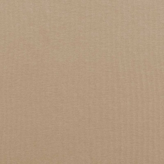 Viskose Jerseystoff uni, beige