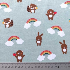 Jerseystoff Waschbren Regenbgen, altgrn