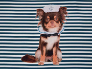 Jersey Panel Matrosen Hund Streifen, petrol