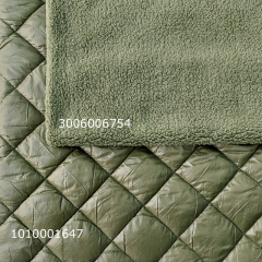 Teddyfleece Stoff Teddyfell Lammfellimitat flauschig weich, Pistaziengrn