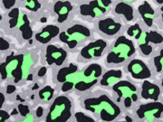 Nicky Velour Leopardenmuster, neongrün grau