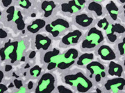 Nicky Velour Leopardenmuster, neongrn grau