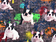 Jersey Hunde Mauer Graffiti Digitaldruck, bunt braun