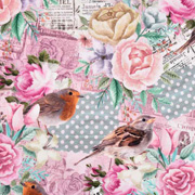 Jerseystoff Vgel Rosen Punkte Dgitaldruck, mint rosa